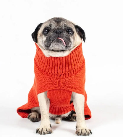 The Jamie Dog Jumper in Burnt Orange