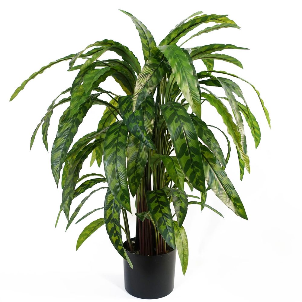 90cm Variegated Artificial Calathea Plant