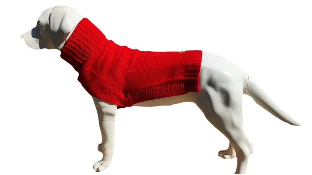 The Jazz Dog Jumper in Red