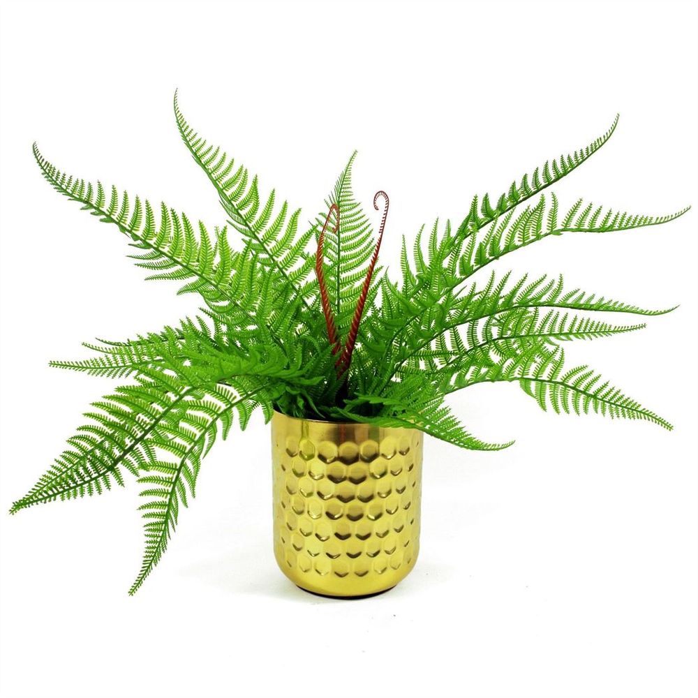 60cm Artificial Bushy Dixie Wood Fern Dark Green Plant