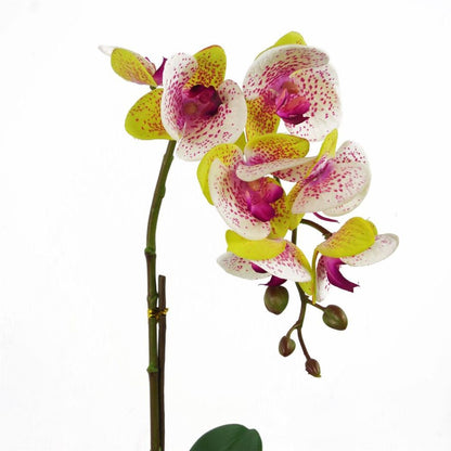 46cm Artificial Orchid Harlequin Pink with Silver Pot