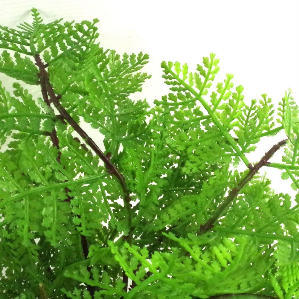 30cm Artificial Potted Lady Fern (Athyrium Filix-Femina)