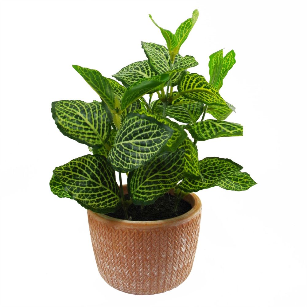 22cm Mini Artificial Pothos in Terracotta Pot