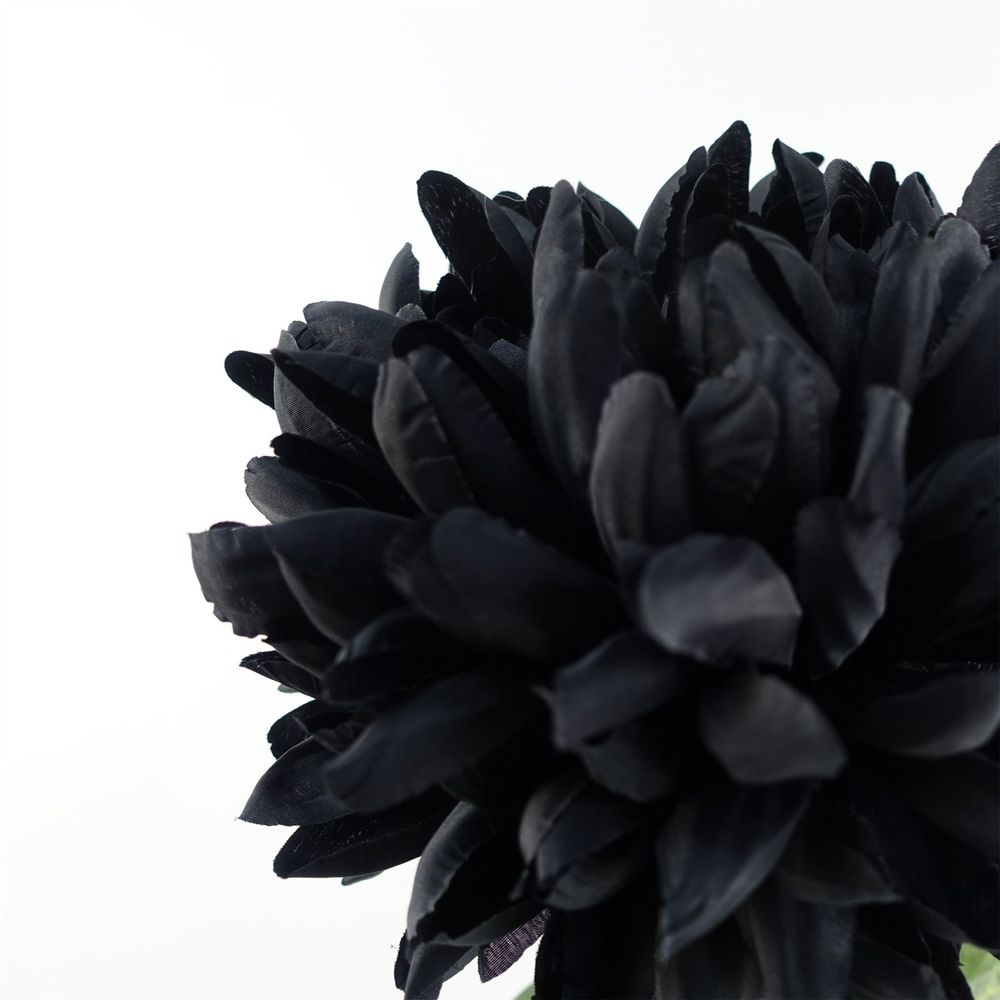 75cm Extra Large Reflex Chrysanthemum - Black