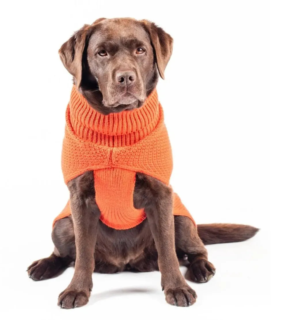 The Jamie Dog Jumper in Burnt Orange