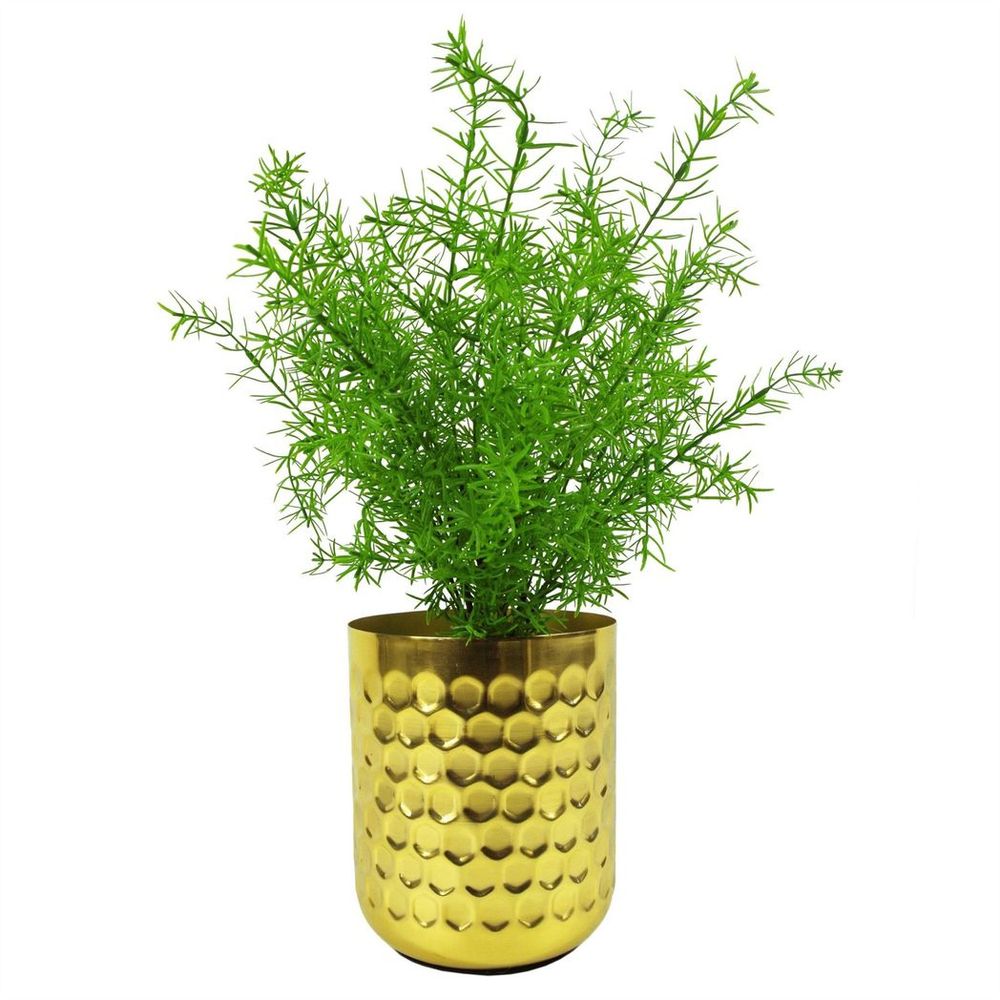 45cm Artificial Asparagus Fern Plant