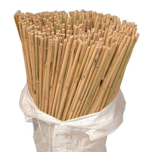 10 x 6FT (180cm) Bamboo Canes