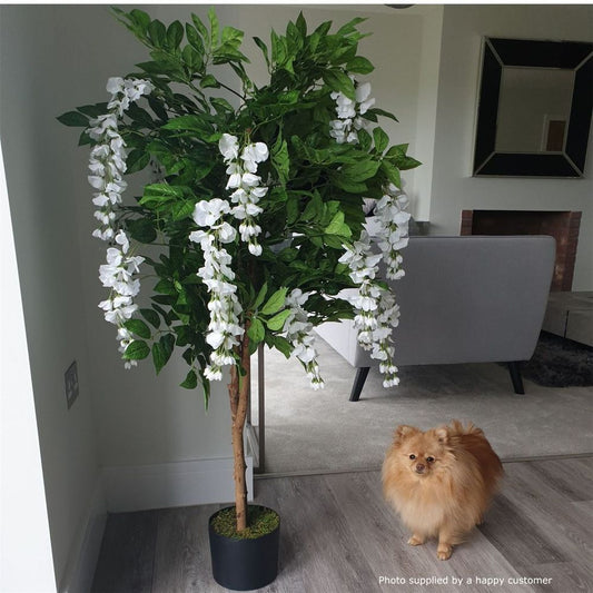 130cm Luxury Artificial Wisteria Tree White Flowers Premium Range