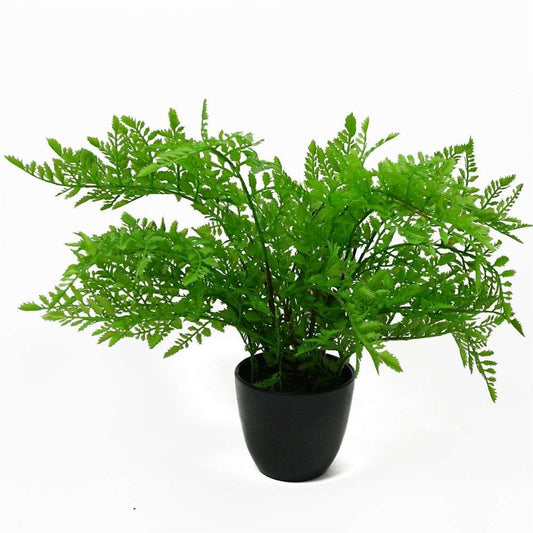 30cm Artificial Potted Southern Wood Fern Black Pot