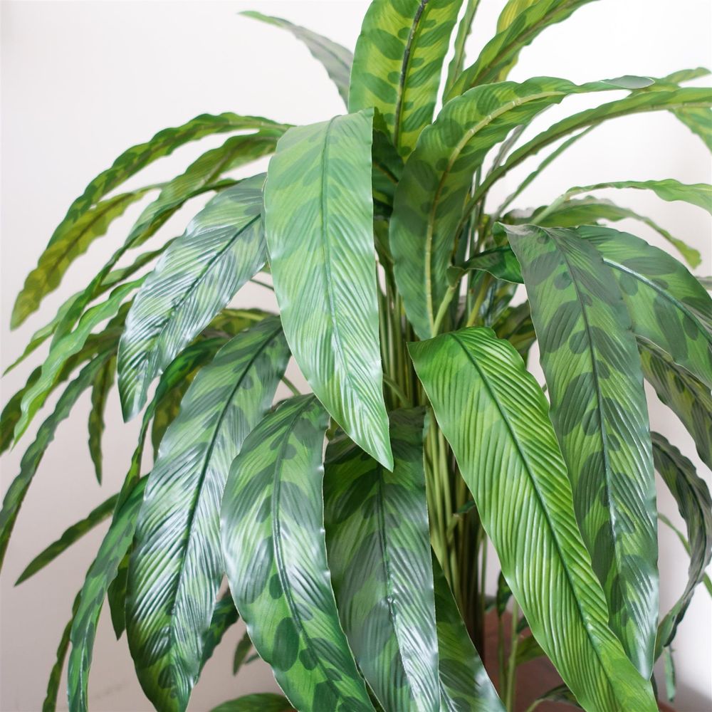 90cm Variegated Artificial Calathea Plant