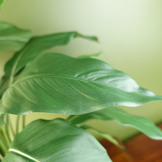 Artificial Peace Lily White Spathiphyllum