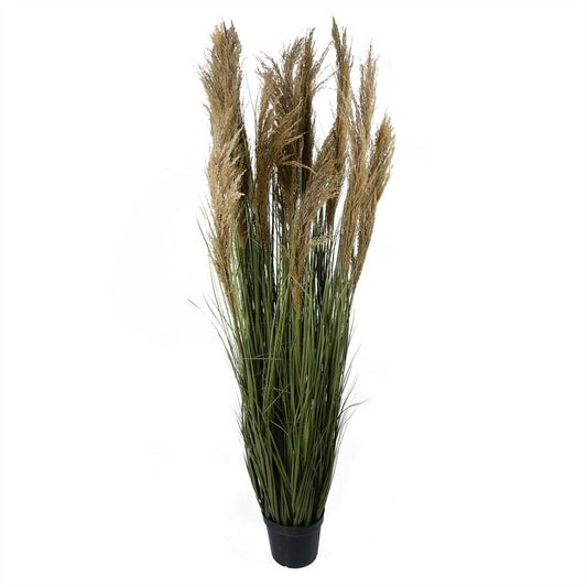 180cm Realistic Natural Pampas Grass Plant