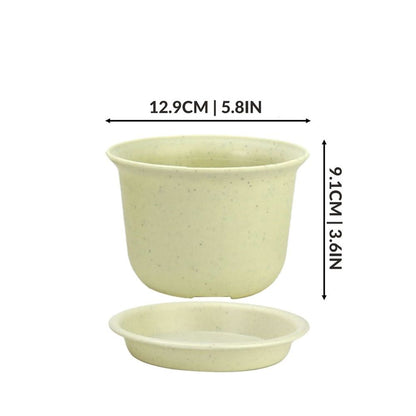 Plastic Plant Pots - Set of 10 Medium | Pukkr