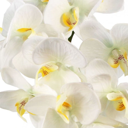 52cm Artificial Orchid Large - White / Gold