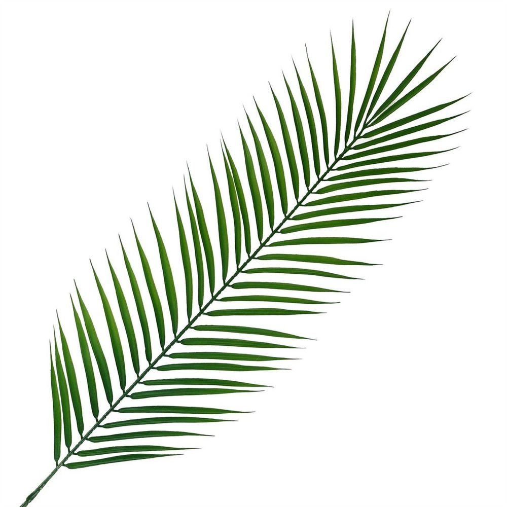 Pack of 6 x 100cm Realistic Artificial Palm Leaf