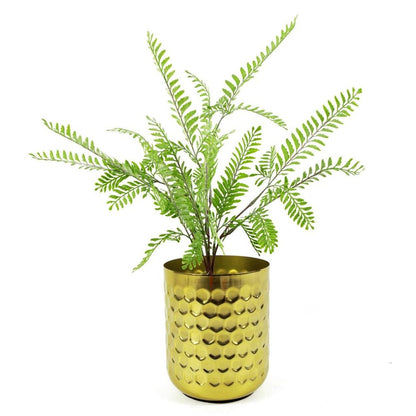 55cm Himilayan Maidenhair Fern Bush Light Green Plant