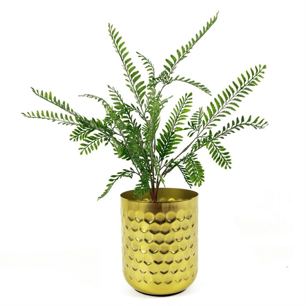 55cm Himilayan Maidenhair Fern Bush Dark Green Plant