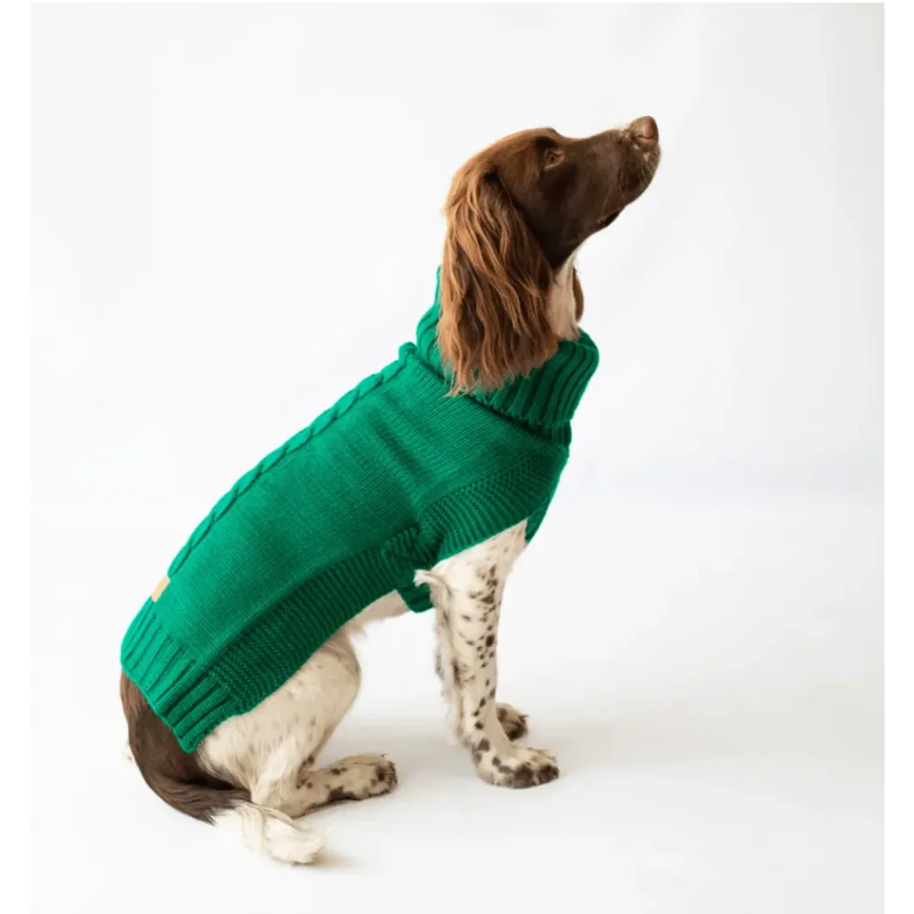 The Jazz Dog Jumper in Green