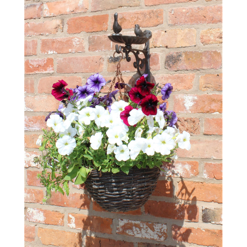 Cast Iron Hanging Basket Wall Bracket With Bird Feeder