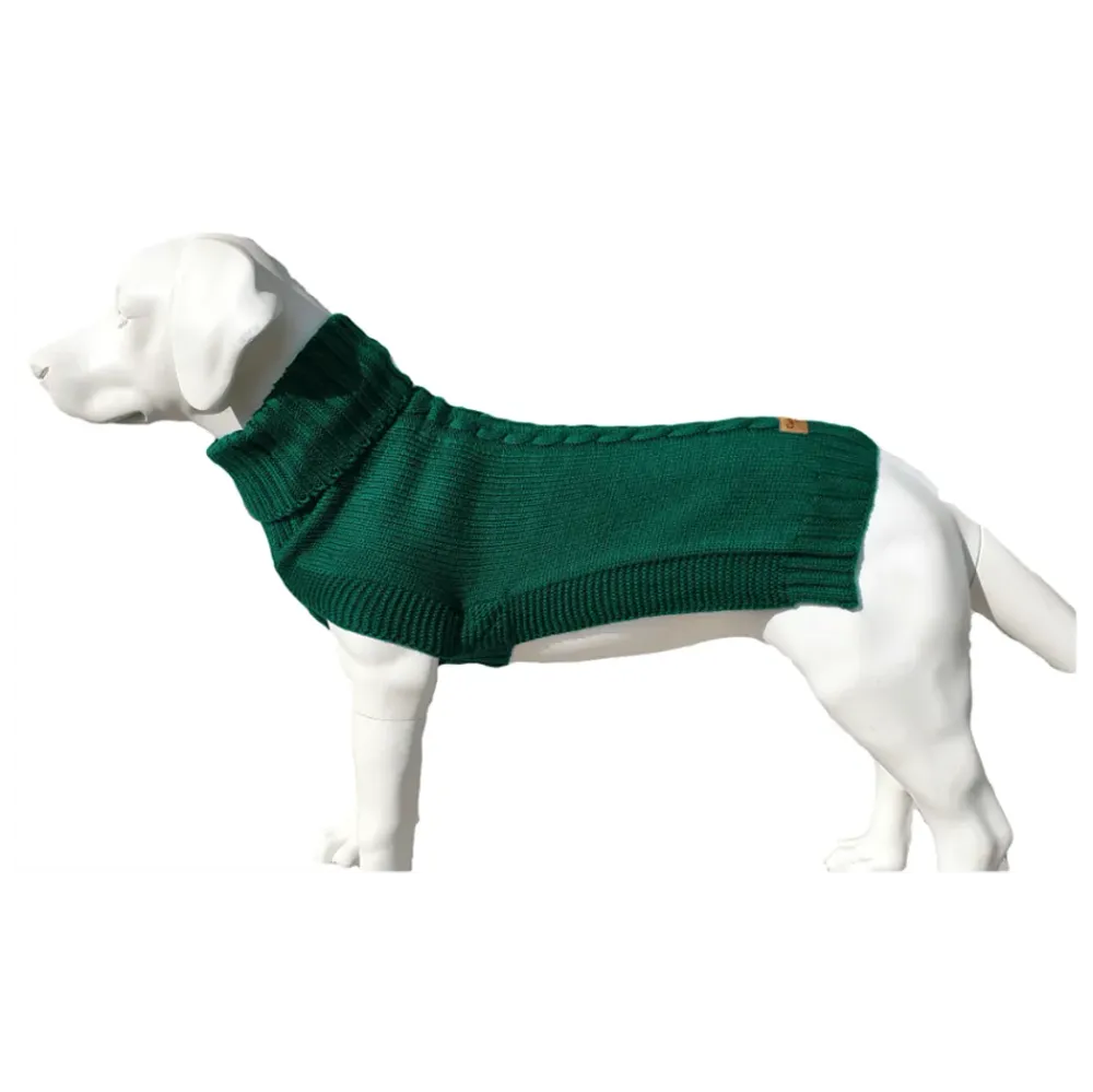 The Jazz Dog Jumper in Green