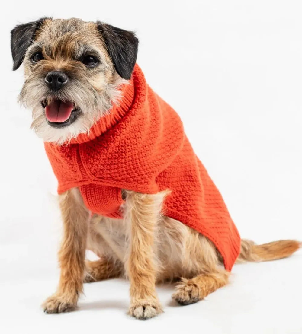 The Jamie Dog Jumper in Burnt Orange