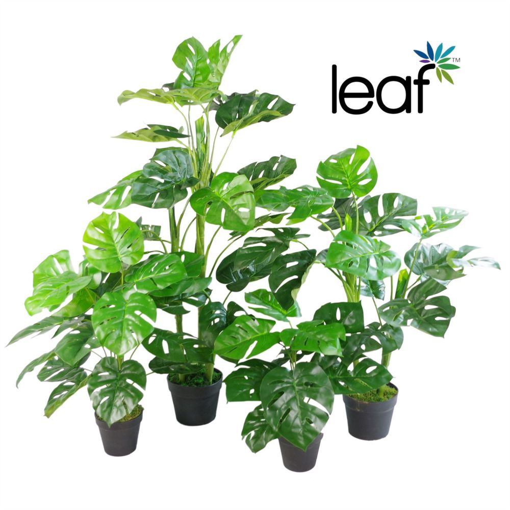 Artificial Monstera Plant - 100cm Monstera