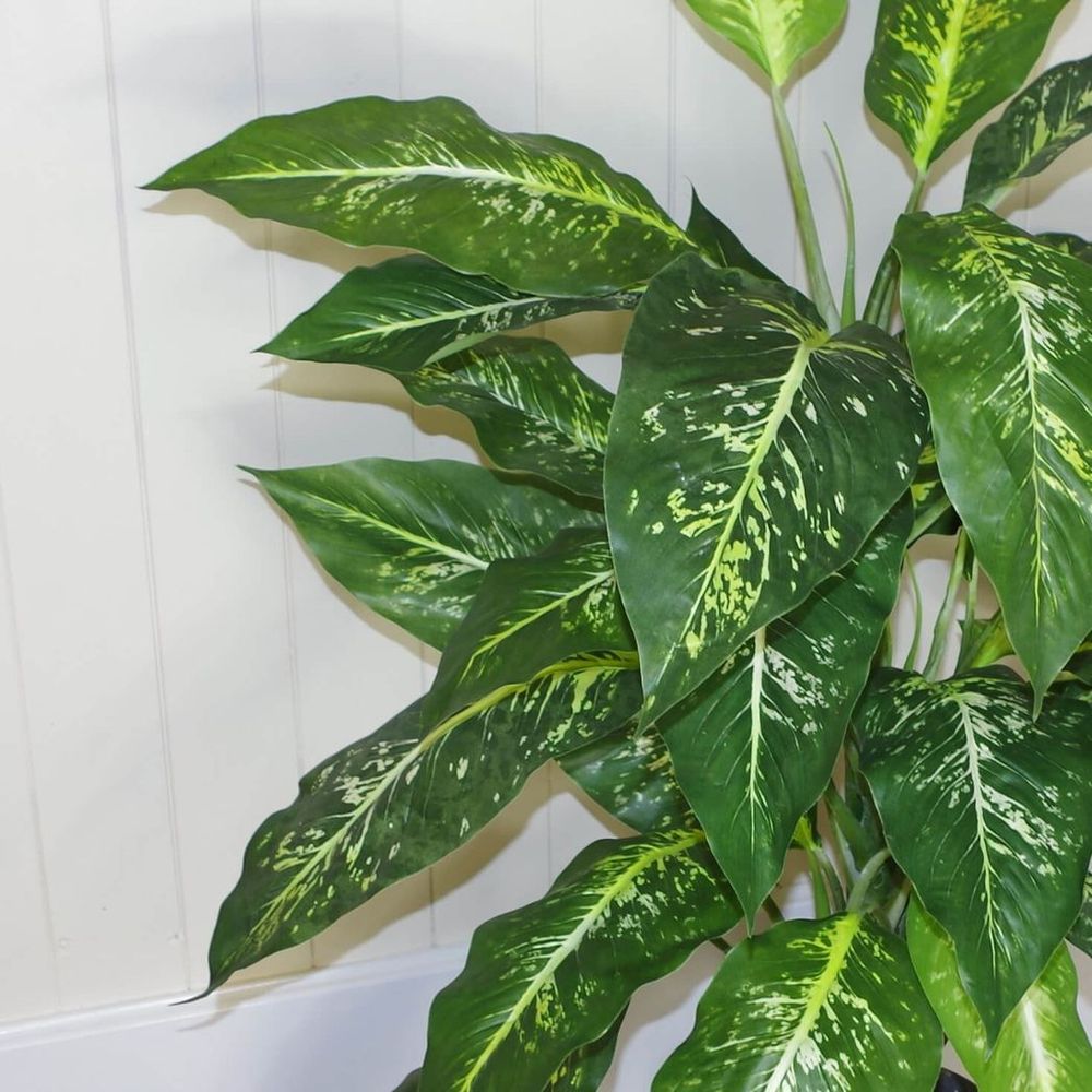 100cm Large Fox's Aglaonema (Spotted Evergreen) Tree Artificial Plant