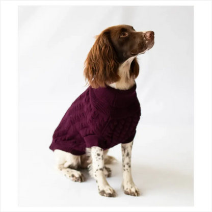 The Rascal Dog Jumper in Grape