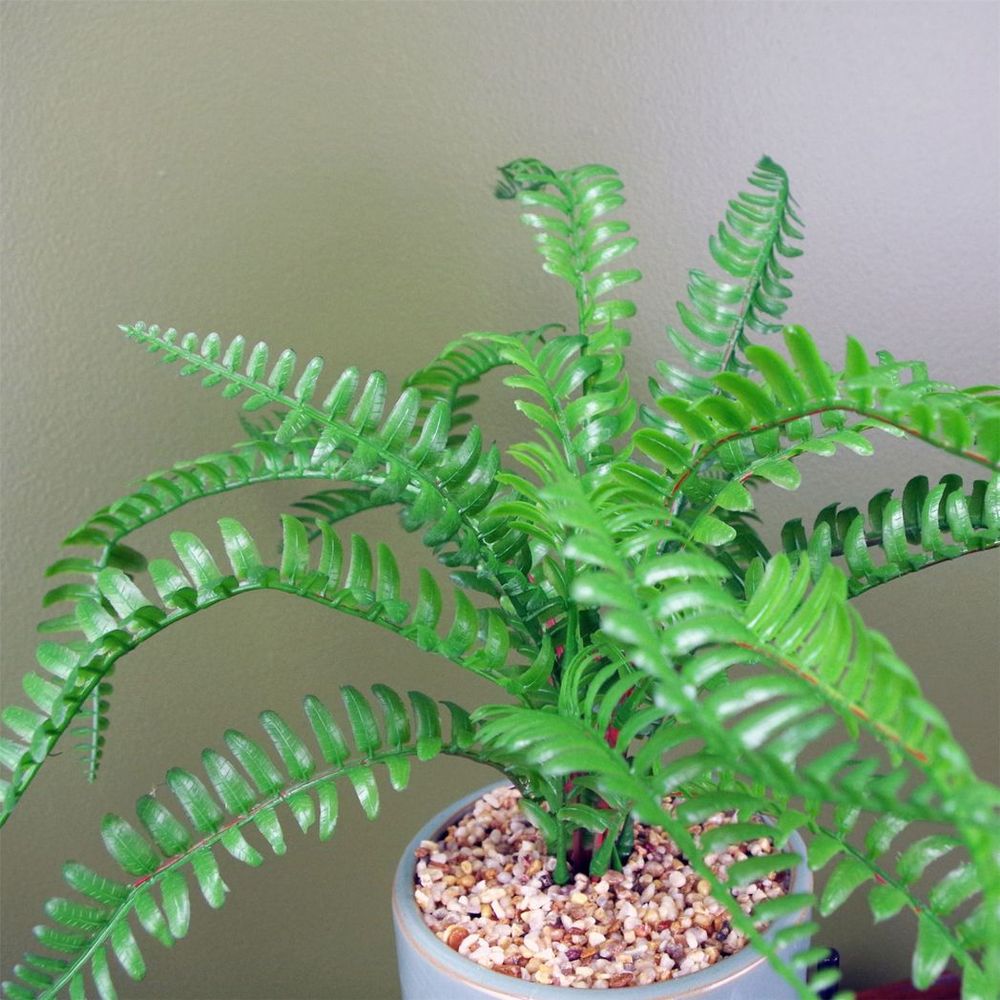 40cm Artificial Fern Plant with Ceramic Planter & Stand