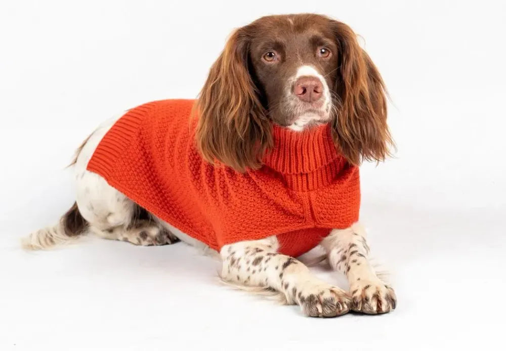 The Jamie Dog Jumper in Burnt Orange