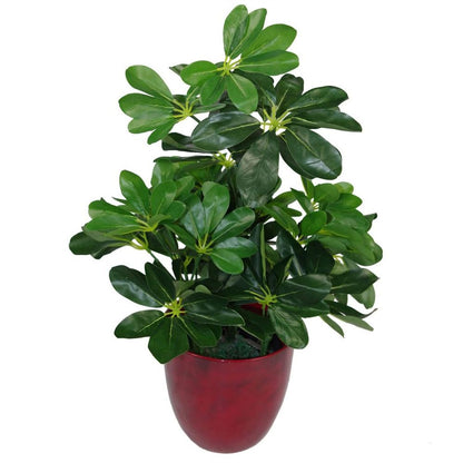 55cm Dark Green Artificial Umbrella Plant