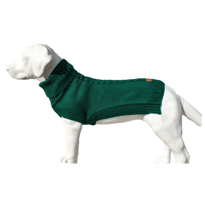 The Jazz Dog Jumper in Green