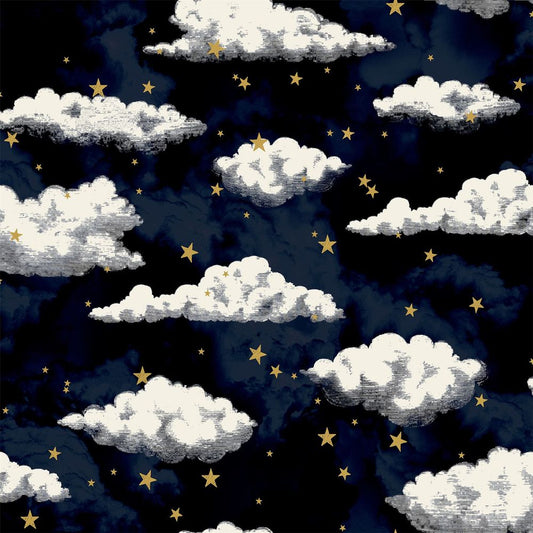 Stars And Clouds Navy sw12