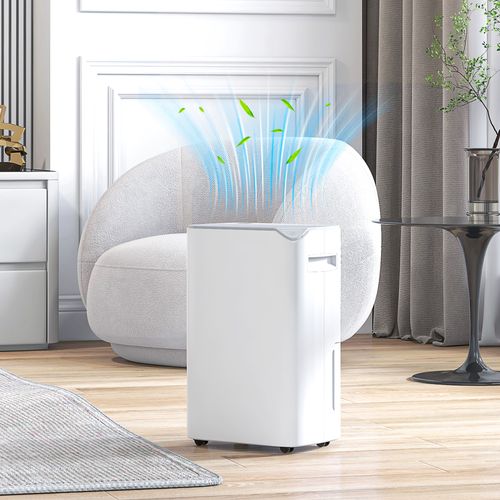 HOMCOM 20L/Day Small Dehumidifier for Home Damp Laundry, with 24H Timer