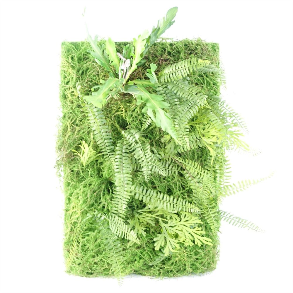 60cm Artificial Green Wall Fern