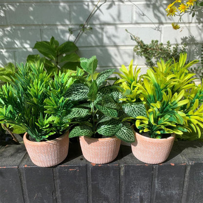 22cm Mini Artificial Pothos in Terracotta Pot