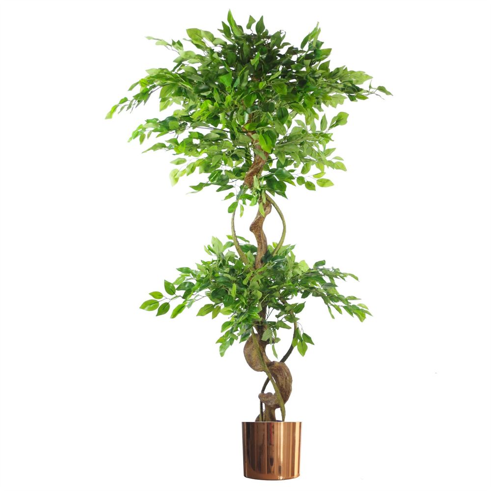 150cm Twisted Trunk Artificial Japanese Fruticosa Ficus Tree Copper Planter