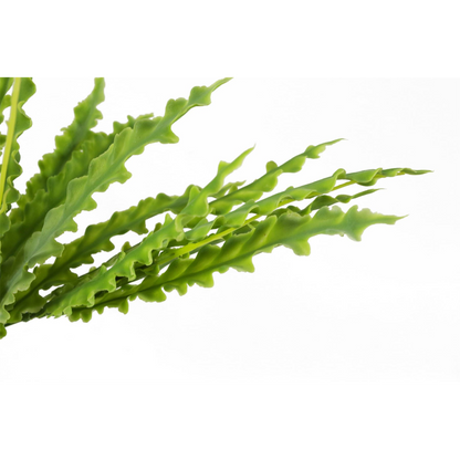 40cm Artificial Crocodile Fern Plant