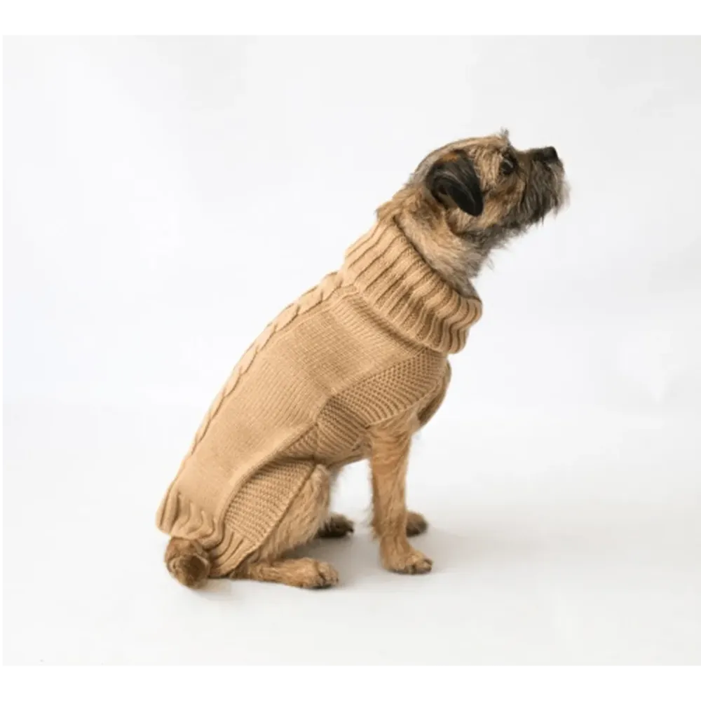 The Jazz Dog Jumper in Camel