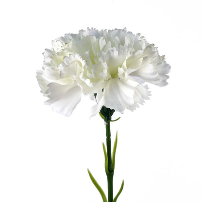 50cm Single White Carnation Artificial Flower