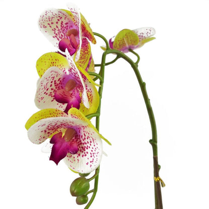 46cm Artificial Orchid Harlequin Pink with Silver Pot