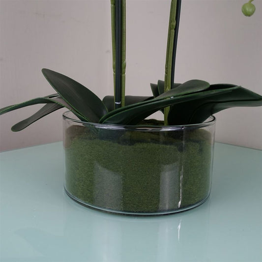 50cm Artificial Orchid with Glass Planter Pink