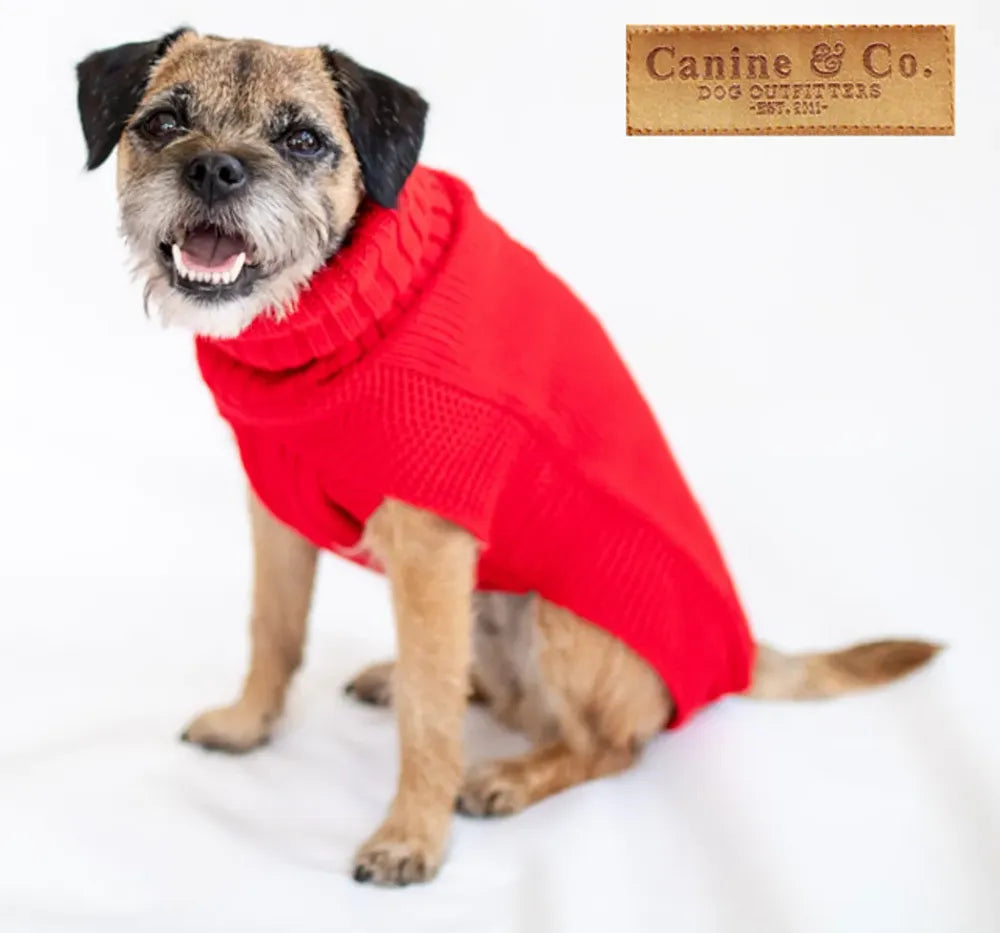 The Jazz Dog Jumper in Red