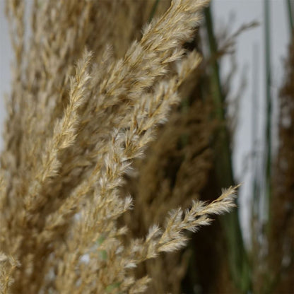 180cm Realistic Natural Pampas Grass Plant