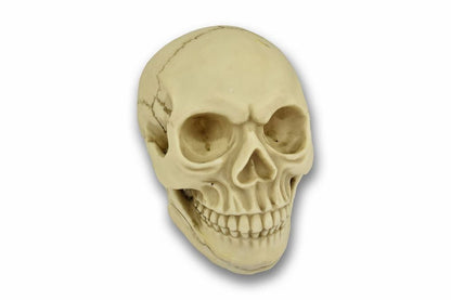 Original Size Halloween Skull Decoration