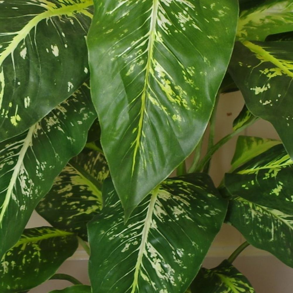 100cm Large Fox's Aglaonema (Spotted Evergreen) Tree Artificial Plant with Gold Metal Planter