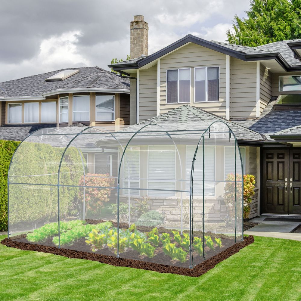 Walk in Transparent Greenhouse, Steel Frame