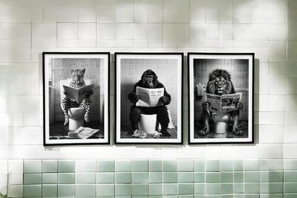 Set of 3 Animal's on the Toilet Framed Canvas 20x25cm