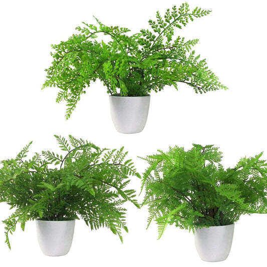 Pack of 3 x 30cm Artificial Ferns - Southern Wood - Lady and Royal - Potted