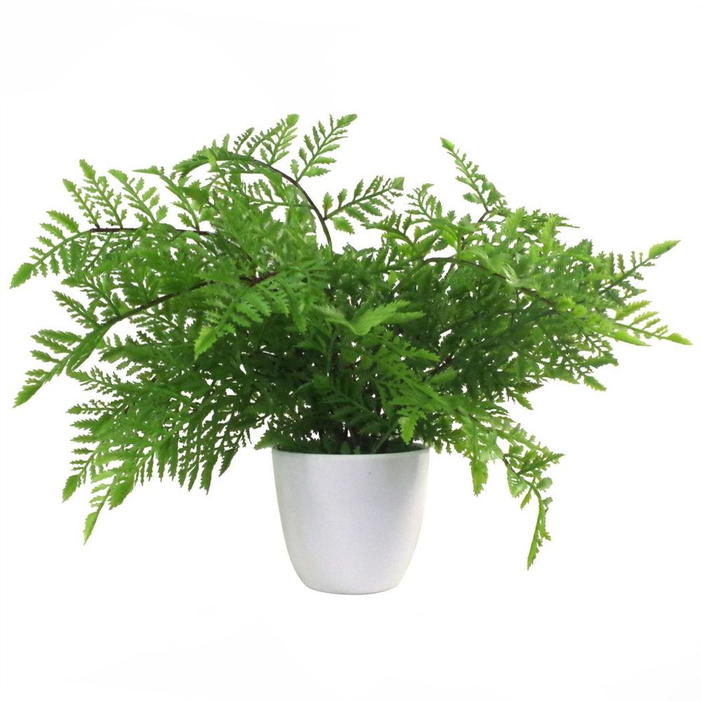 Pack of 3 x 30cm Artificial Ferns - Southern Wood - Lady and Royal - Potted